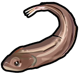 Anguile