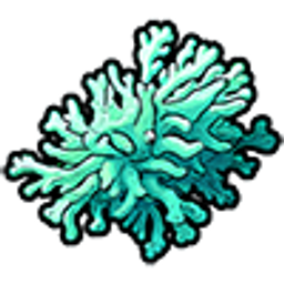 Antipatharia Coral