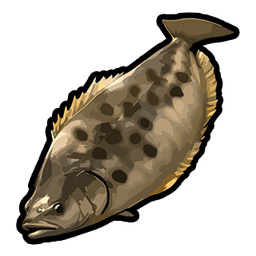 Carp