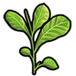 Cocaineleaf