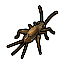 Crickets
