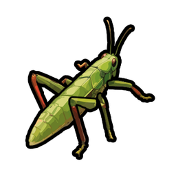 Grasshopper