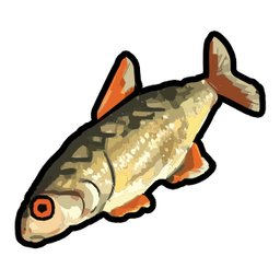 Grouper
