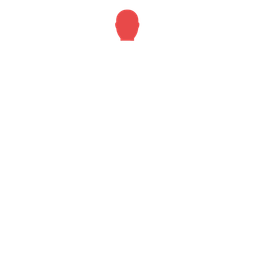 Head
