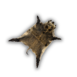Hide Boar