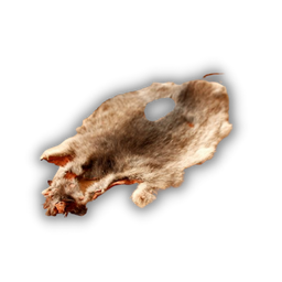 Hide Rat