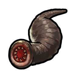 Leech