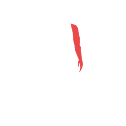Left Arm