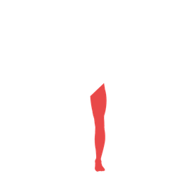 Left Leg