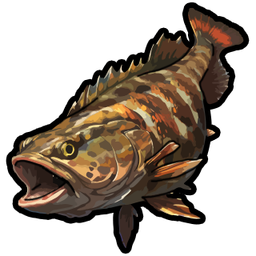 Mackerel