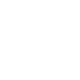 Main Body