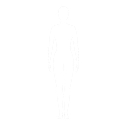 Main Body W