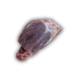 Meat Coyote