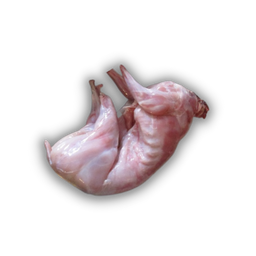 Meat Rabbit