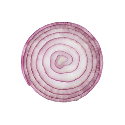 Onion Slice