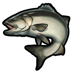 Pike