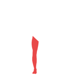 Right Leg