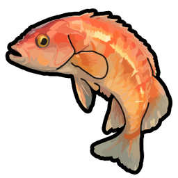 Salmon