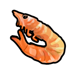 Shrimp