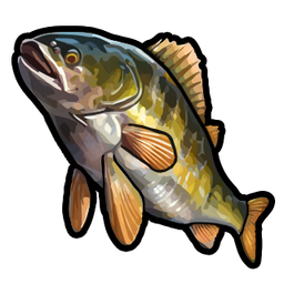 Snapper