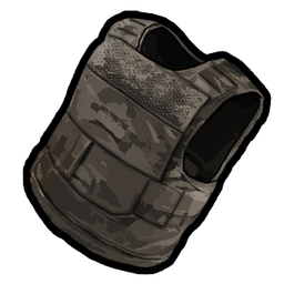 Vest