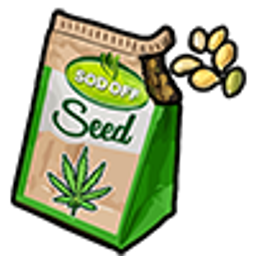 Weed Purple Haze Seed