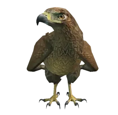 A C Chickenhawk