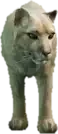 A C Mtlion