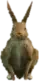 A C Rabbit 01