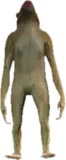 A C Rhesus